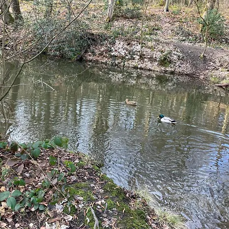 Im Gruenen Mit Balkon 公寓 黑尔德克