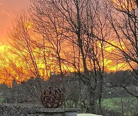 公寓 Im Gruenen Mit Balkon 黑尔德克