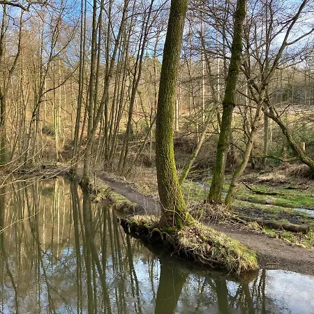 Im Gruenen Mit Balkon 公寓 *