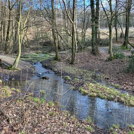 Im Gruenen Mit Balkon Daire
