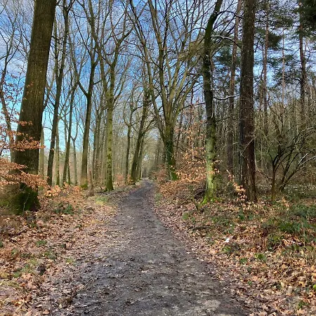 公寓 Im Gruenen Mit Balkon 黑尔德克