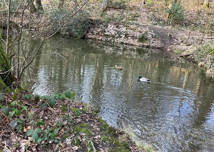 Im Gruenen Mit Balkon Appartement Herdecke