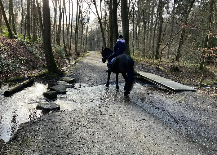 Lägenhet Im Gruenen Mit Balkon