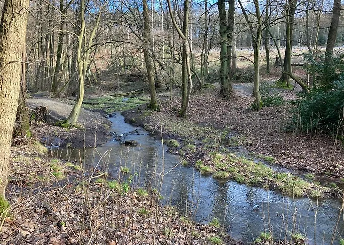 Im Gruenen Mit Balkon Appartement