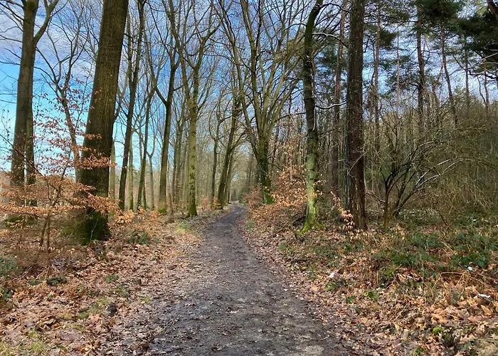 Lägenhet Im Gruenen Mit Balkon Herdecke